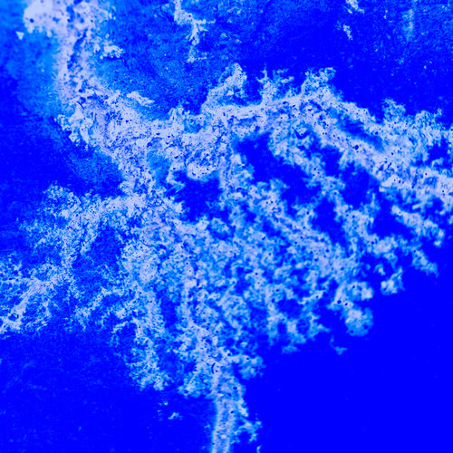 vignette lichtenberg 1